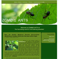 Zombie Ants!